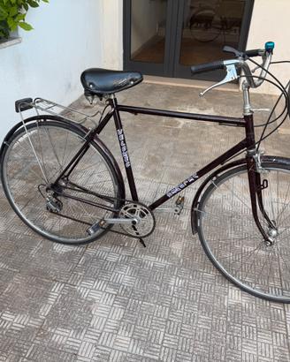 Bicicletta da passeggio