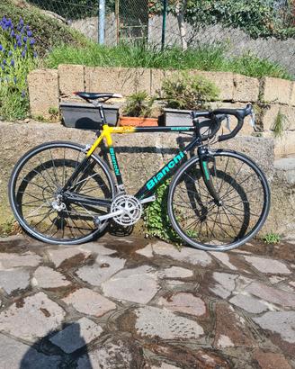 Bianchi XL EV2 Oropa Pantani