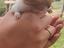 Immagine 6