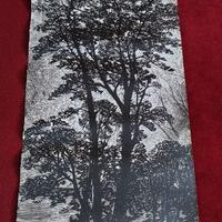 Serigrafia per mobile anni Sessanta