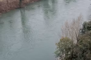 Verona - Borgo Roma: Ampio Bilocale Arredato