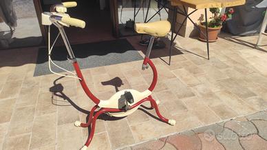 ciclette da casa Carnielli 