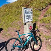 De Rosa Idol