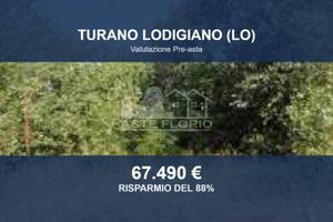 Immobile in asta di 28396 m² a Turano Lodigiano