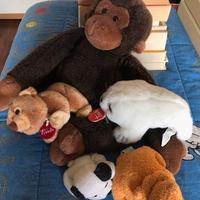 Peluche Trudi e vari