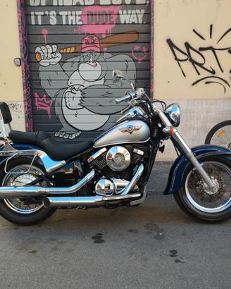 Kawasaki VN 800 Classic 1998 