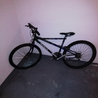 Bianchi pholcus mtb