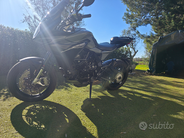 Mv agusta turismo veloce