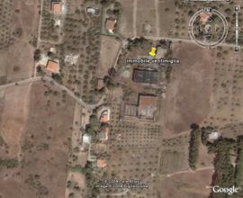 Stabilimento enologico
