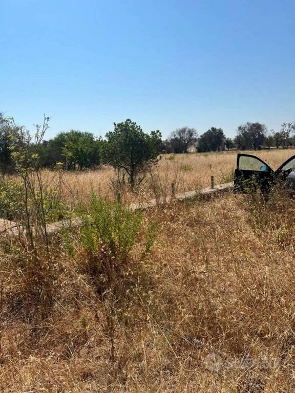 Immobile in asta di 13833 m² a Ostuni - Vista 5