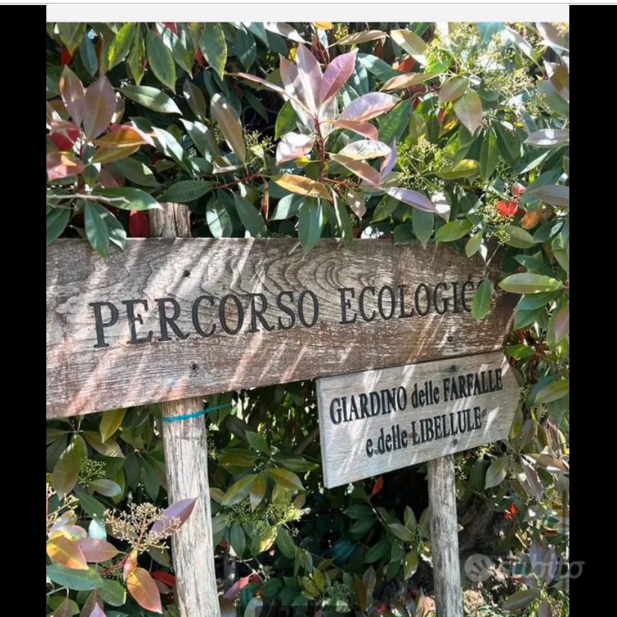 Terreno 5000 mq - Vista 2
