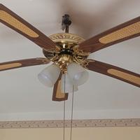 ventilatore a soffitto con lampade