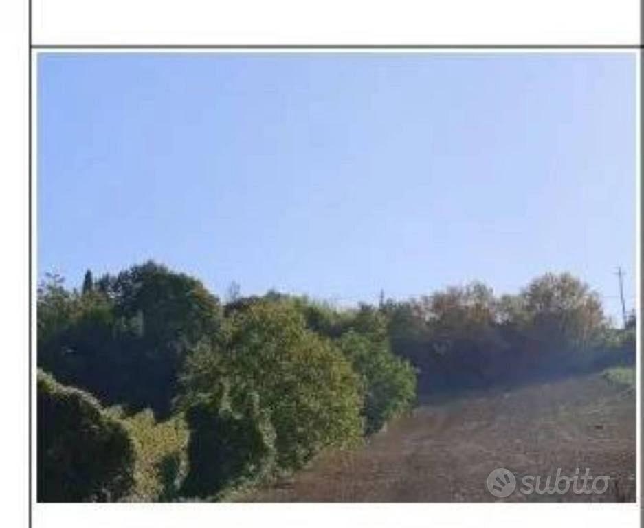 Immobile in asta di 85145 m² a Ripatransone - Vista 4