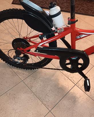 Bicicletta