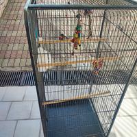 gabbia per uccelli 146x45x45
