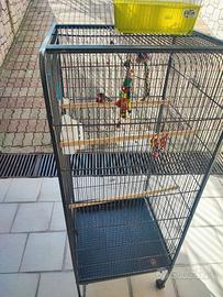 gabbia per uccelli 146x45x45