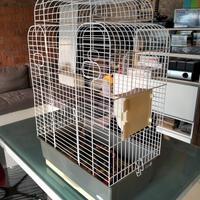 Gabbia per uccelli con accessori 