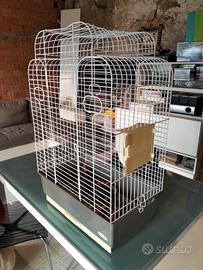 Gabbia per uccelli con accessori 