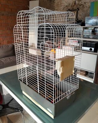 Gabbia per uccelli con accessori 