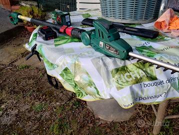 Tagliasiepi telescopico a batteria