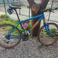 Mountain Bike Cannondale Cad 3