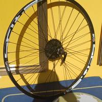 cerchio 29 mtb