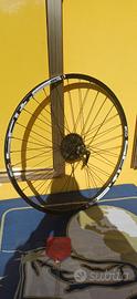 cerchio 29 mtb