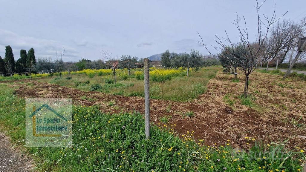 Villa di 310 m² con più di 5 locali a Genazzano - Vista 6