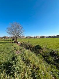 2 LOTTI EDIFICABILI Montichiari via Olive