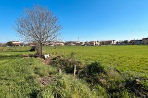 2 LOTTI EDIFICABILI Montichiari via Olive