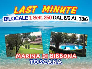 Last minute Marina di Bibbona Bilocale 6-13 giugno