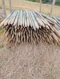 Pali in Pino trattati vari diametri