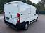 Immagine 6