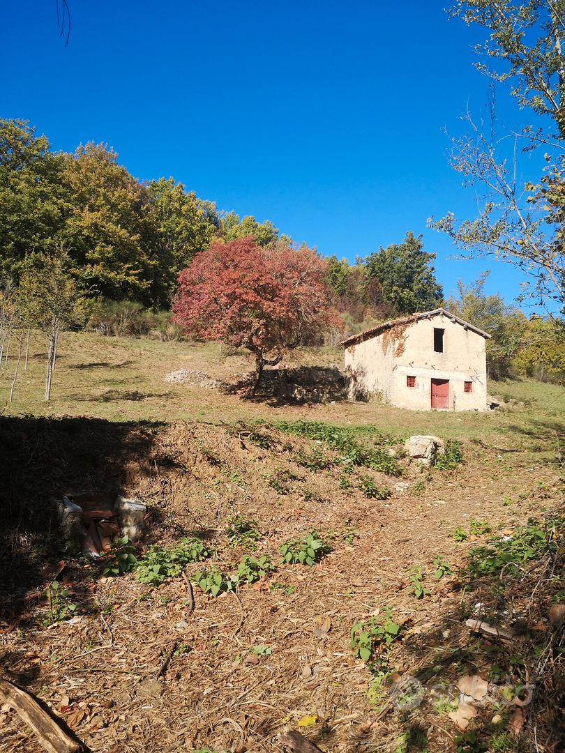 Rustico Nel Comune di Rocca Sinibalda - Altro