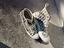 Immagine 6
