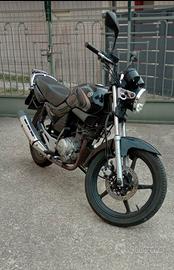 Yamaha YBR 125 - 2007
