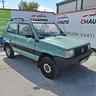 fiat-panda-1100-i-e-cat-4x4-trekking-metano