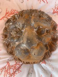 Testa di leone