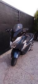 Honda forza 300