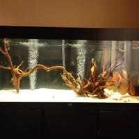 Acquario Juwel Rio 240 LED, nero
