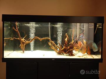 Acquario Juwel Rio 240 LED, nero
