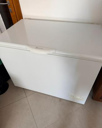 Congelatore a Pozzetto Rex Electrolux