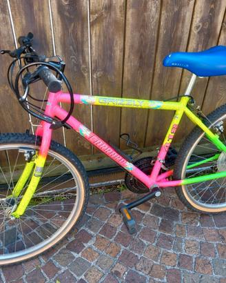 Bicicletta tipo MTB Carraro misura ruote 26"