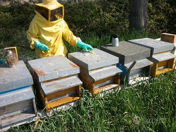 Nuclei api con portasciami in polistirolo