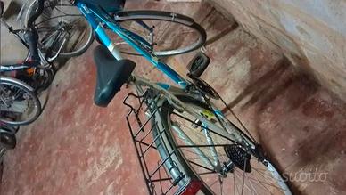 Bici da passeggio