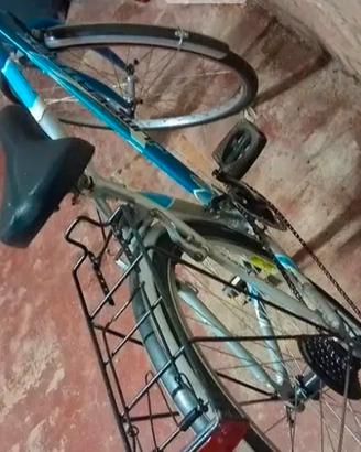 Bici da passeggio