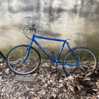 Biciclette a 20 euro