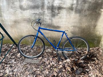 Biciclette a 20 euro