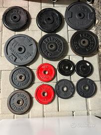 Dischi ghisa palestra