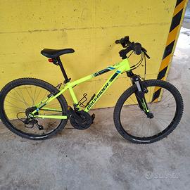 Mtb Bambino 24 pollici